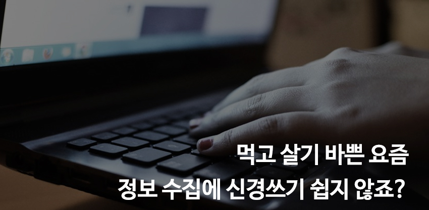 관련 포스팅 미리보기 이미지